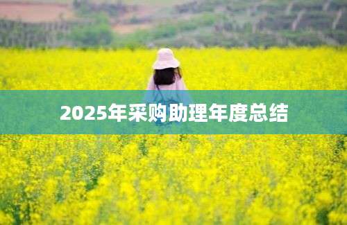 2025年采购助理年度总结