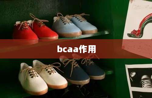 bcaa作用