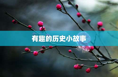有趣的历史小故事