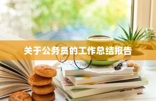 关于公务员的工作总结报告