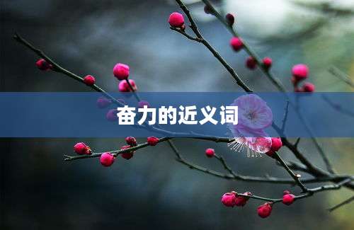 奋力的近义词