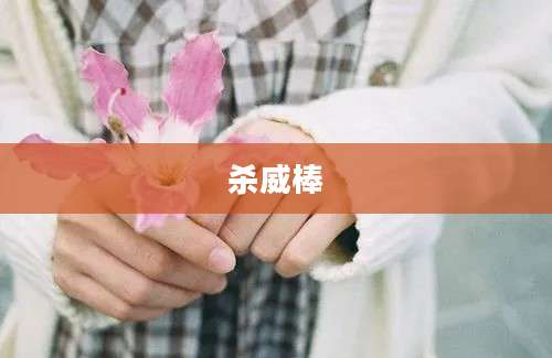 杀威棒