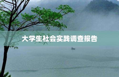 大学生社会实践调查报告