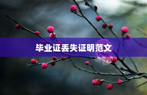 毕业证丢失证明范文