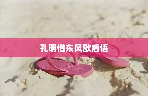 孔明借东风歇后语