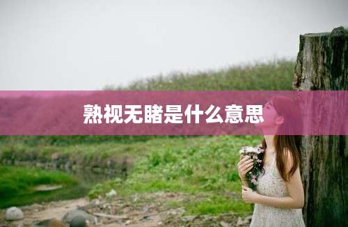 熟视无睹是什么意思