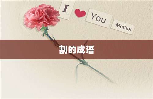 割的成语