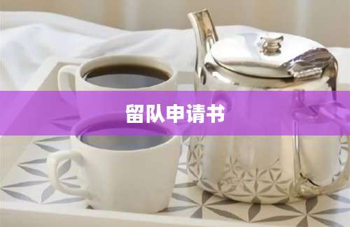 留队申请书