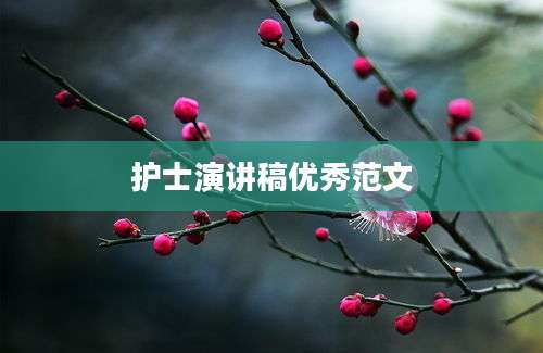 护士演讲稿优秀范文