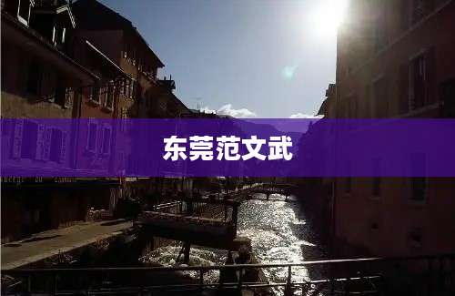 东莞范文武