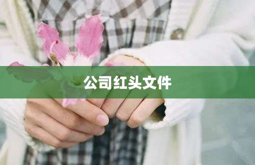 公司红头文件
