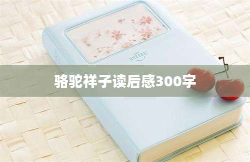 骆驼祥子读后感300字