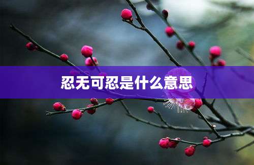 忍无可忍是什么意思