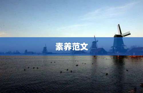 素养范文