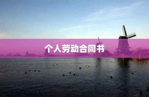 个人劳动合同书