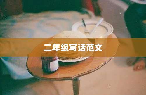 二年级写话范文