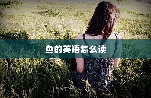 鱼的英语怎么读