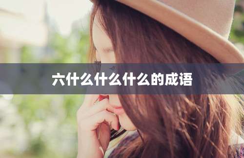 六什么什么什么的成语