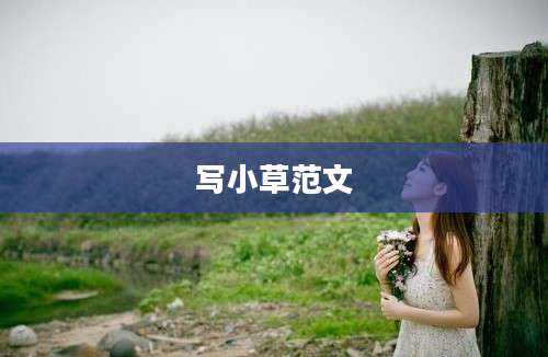 写小草范文
