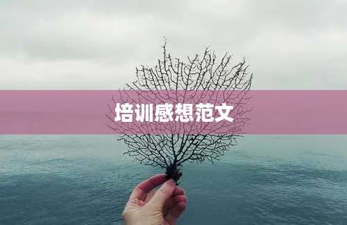 培训感想范文