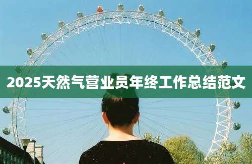 2025天然气营业员年终工作总结范文