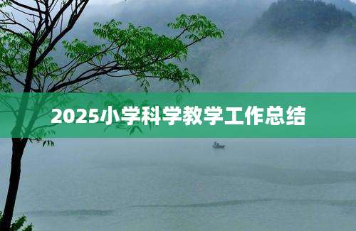 2025小学科学教学工作总结