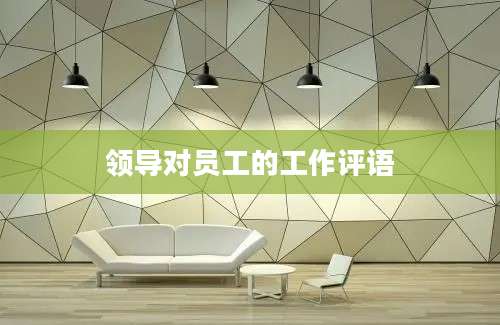 领导对员工的工作评语