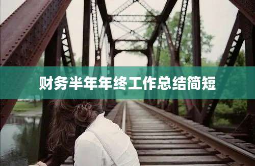 财务半年年终工作总结简短