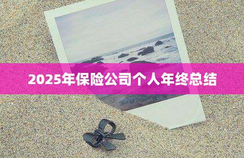 2025年保险公司个人年终总结