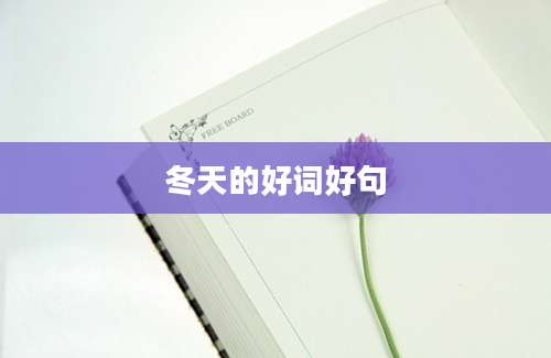 冬天的好词好句