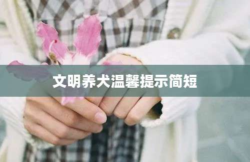 文明养犬温馨提示简短