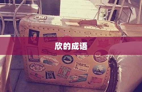 欣的成语