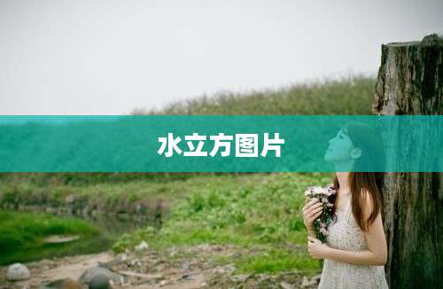 水立方图片