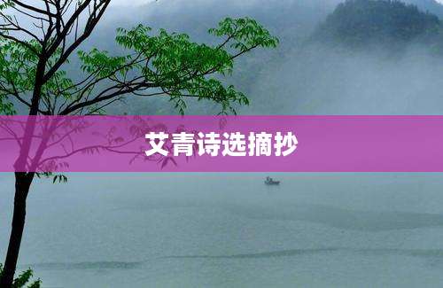 艾青诗选摘抄
