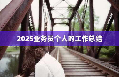 2025业务员个人的工作总结