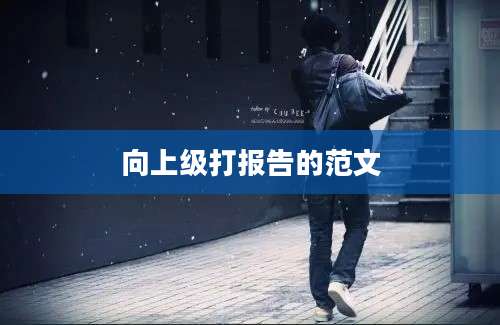 向上级打报告的范文