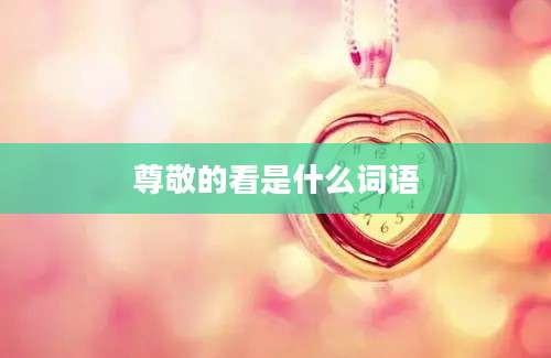 尊敬的看是什么词语