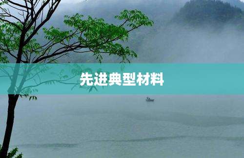 先进典型材料