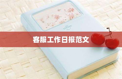 客服工作日报范文