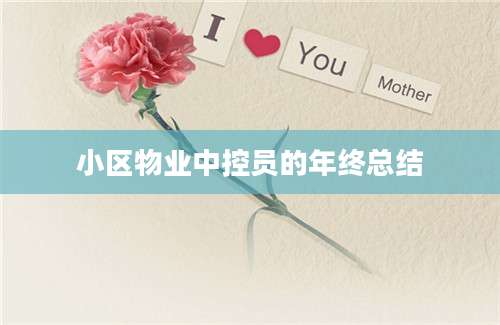 小区物业中控员的年终总结