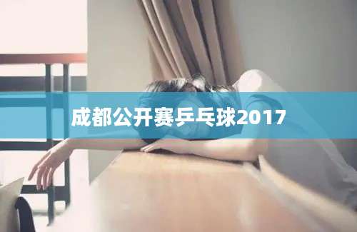 成都公开赛乒乓球2017