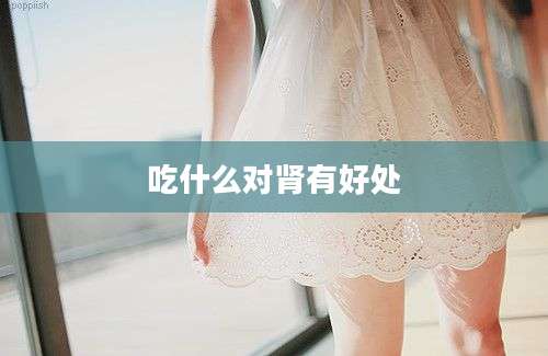 吃什么对肾有好处