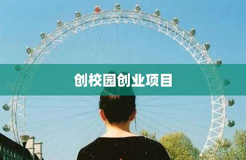 创校园创业项目