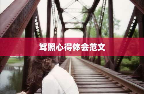 驾照心得体会范文