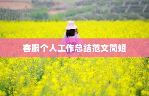 客服个人工作总结范文简短