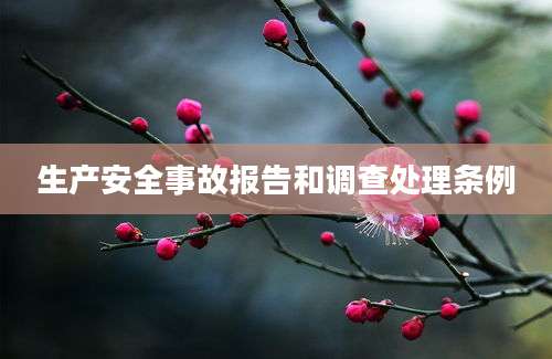 生产安全事故报告和调查处理条例