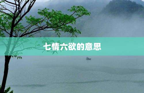 七情六欲的意思