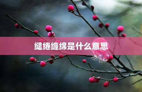 缱绻缠绵是什么意思