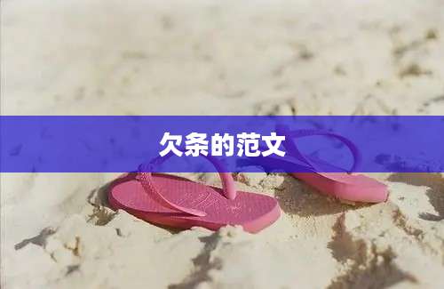 欠条的范文