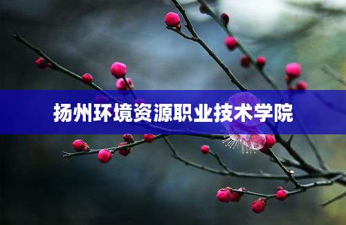 扬州环境资源职业技术学院